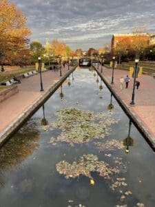 A narrow canal lined with lily pads reflects a cloudy sky in Frederick, Maryland. Brick walkways and lampposts border both sides, while autumn trees and a few people strolling create a calm, scenic urban park atmosphere.