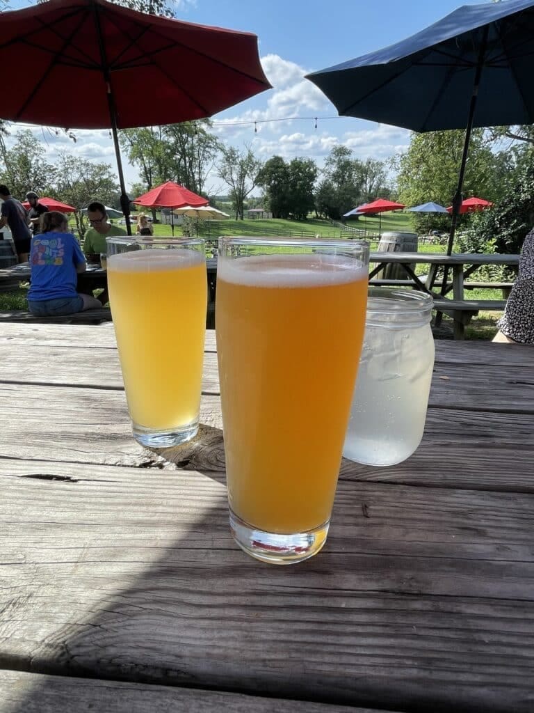 Two Tall Glasses of Hazy Yellow Beer Sit on a Weathered Wooden Picnic Table Outdoors in Mt Airy Md Next to a Small Glass Jar of Water in the Background People Relax Under Red and Blue Umbrellas with Green Trees and a Partly Cloudy Sky