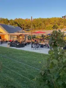 Outdoor restaurant patio in Bend, Oregon, with people dining at tables under large umbrellas, surrounded by green grass and leafy vines. Solar panels top the building and sunlit trees rise against a clear blue sky.