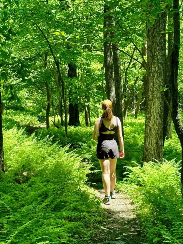 A woman with a ponytail, wearing a black sports outfit and cap, walks alone on a narrow dirt path through a lush green forest—one of the best hikes around Frederick MD—surrounded by ferns and tall trees on a sunny day.