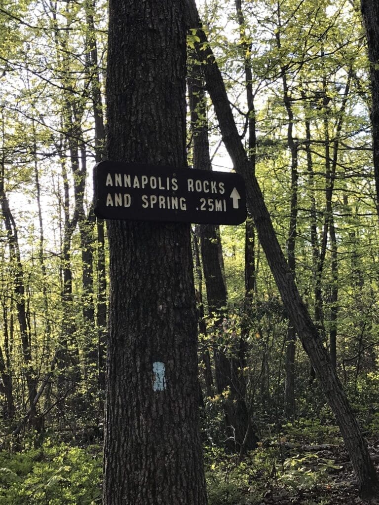 A wooden sign nailed to a tree in a forest reads “Annapolis Rocks and Spring .25 mi” with an arrow pointing forward, hinting at one of the best hikes around Frederick MD. Sunlight filters through dense green foliage in the background.