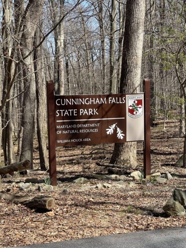 A large wooden sign in a leafless forest marks Cunningham Falls State Park, one of the best hikes around Frederick MD. The Maryland parks logo is on the top right, surrounded by fallen leaves, rocks, and bare trees.