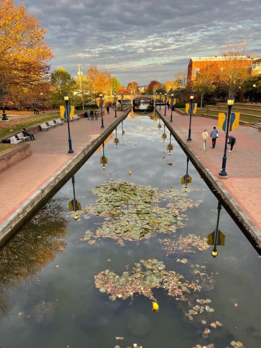 View of a canal lined with lily pads and brick walkways in Frederick, MD. People stroll under autumn trees and yellow banners. Boutique hotels Frederick MD are nearby, with buildings in the background beneath a partly cloudy sky.