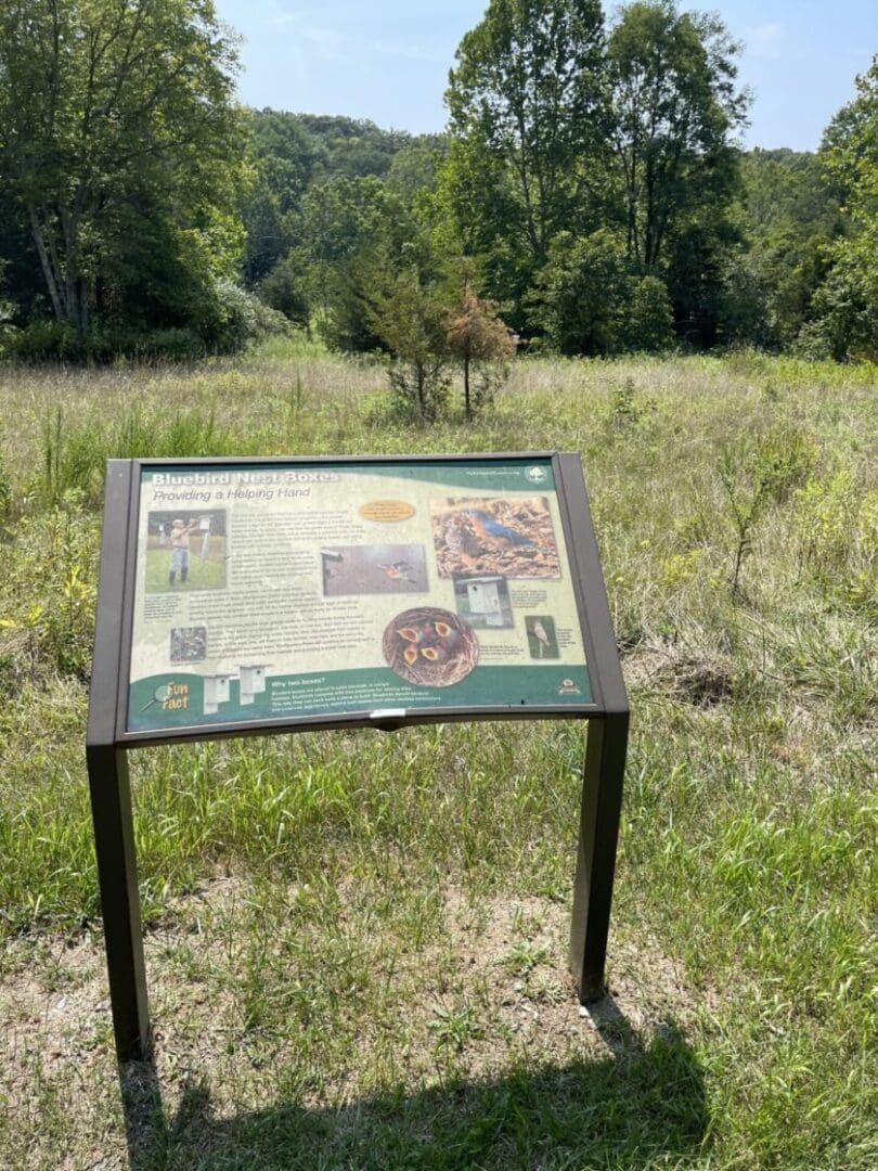 An informational sign about bees stands along the sunny Little Bennett Bike Trails in a grassy meadow with wildflowers and tall trees. The sign features images, text, and diagrams about bees, pollinators, and their habitat, with forested hills beyond.