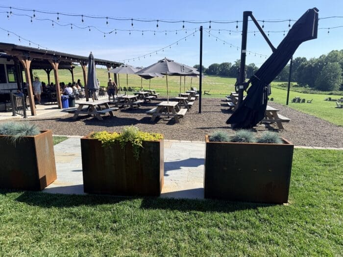 Outdoor Dining Area with Wooden Picnic Tables Under String Lights People Seated Near a Grassy Field Behind Them