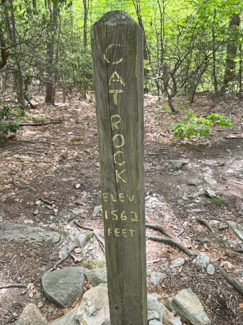 A weathered wooden post stands on a rocky forest trail, marking one of the best hikes around Frederick MD. Carved yellow text reads “CAT ROCK ELEV. 1562 FEET.” Green trees and tangled branches fill the background under soft daylight.