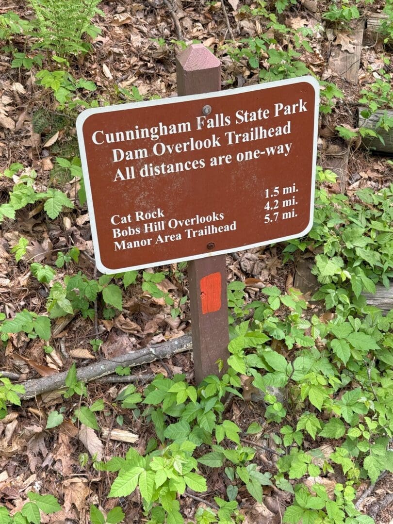 The Dam Overlook Trailhead (also known as Misery Trail) is on Catoctin Hollow Road in Cunningham Falls State Park.