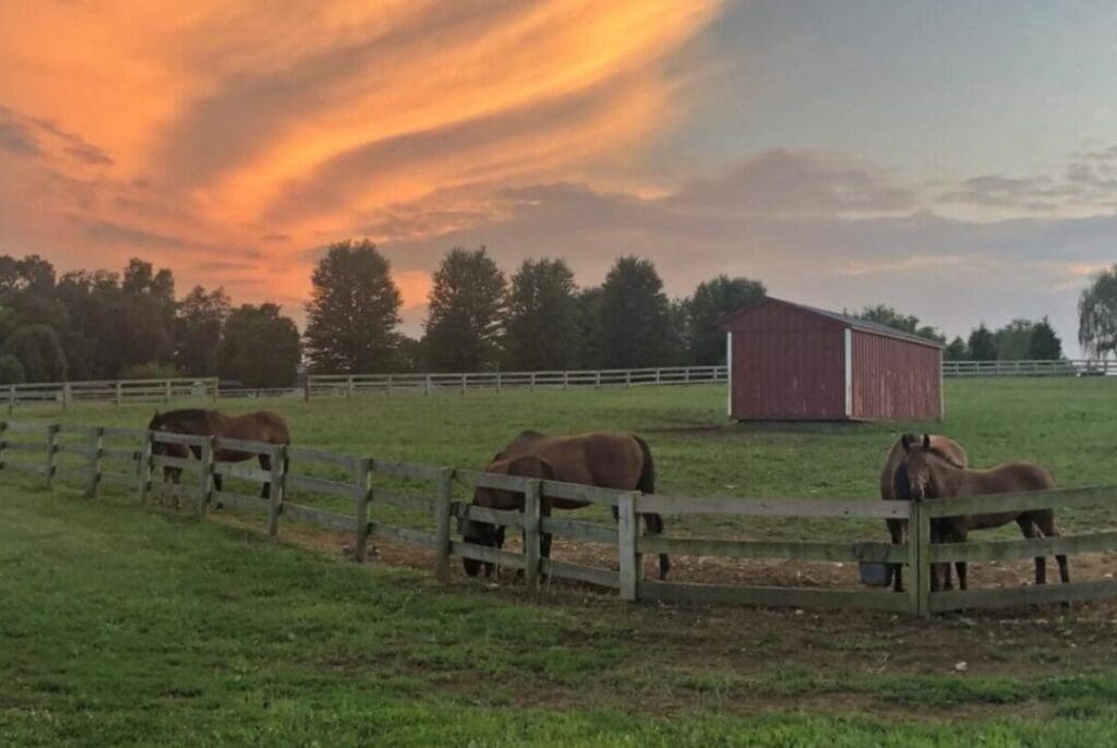 a Serene Pasture at Sunset with Four Brown Horses Grazing Near a Wooden Fence Just Minutes from Hotels in Frederick Md a Small Red Barn Sits in the Grassy Field Bordered by White Fences and Trees Beneath an Orange and Pink Sky