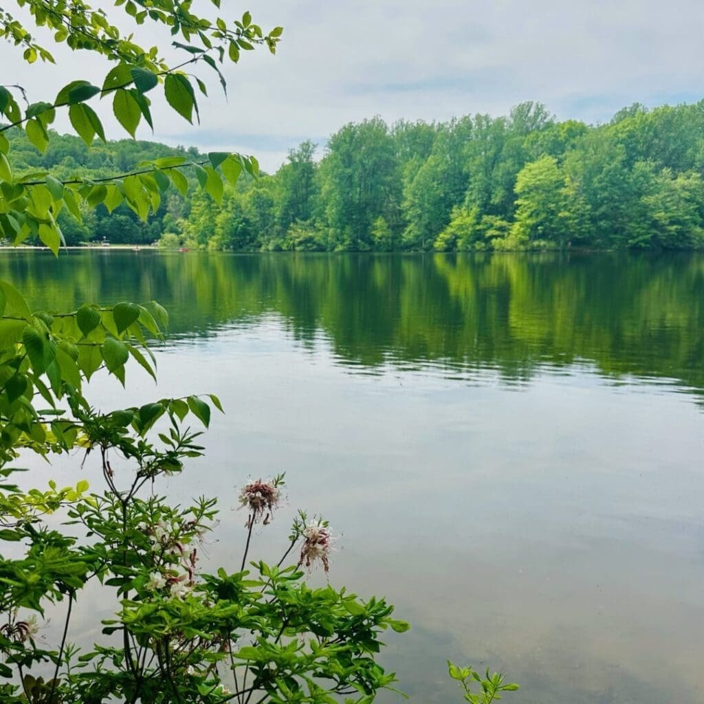 Hunting Creek Lake is just below the Dam Overlook parking lot in Cunningham Falls State Park.