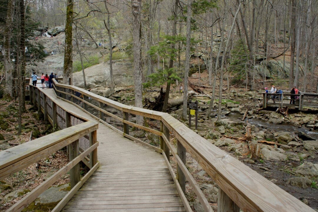 A wooden boardwalk with railings winds through Cunningham Falls State Park’s forest of bare trees and rocks. People gather at lookout points, observing a rocky stream and small waterfalls amid early spring foliage in this calm, natural setting.