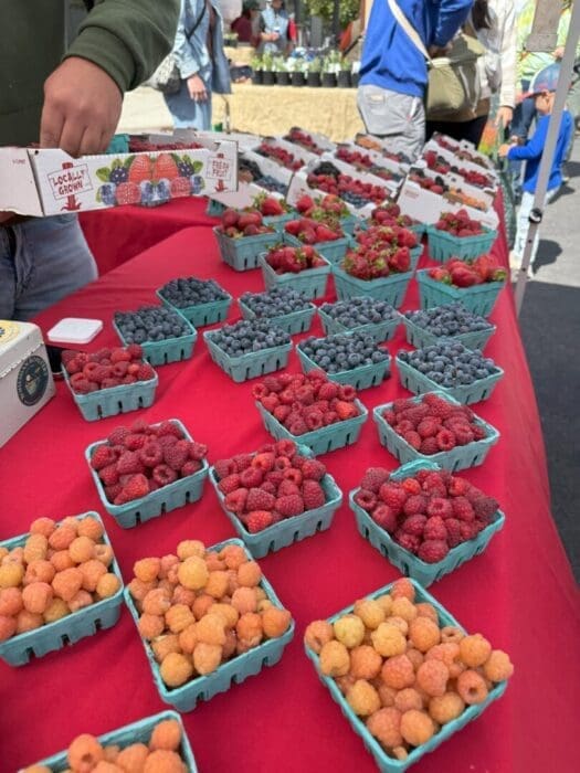 Small turquoise baskets brimming with berries—red and golden raspberries, blueberries, and strawberries—rest on a red tablecloth at an outdoor market. A person’s arm lifts a “Locally Grown” box, capturing one of the favorite things to do in Bend OR.