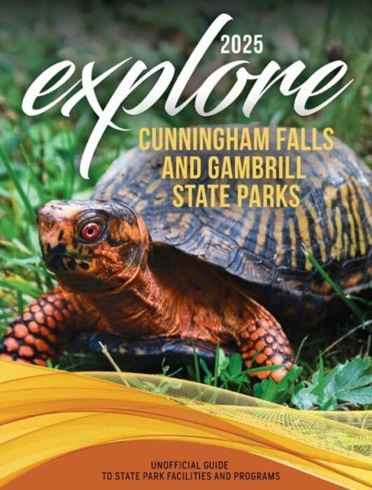 A close-up of an ornate box turtle on grass is featured on the cover of a 2025 guide titled Explore Cunningham Falls State Park and Gambrill State Parks. The lower section has wavy yellow graphics and text about state park facilities and programs.