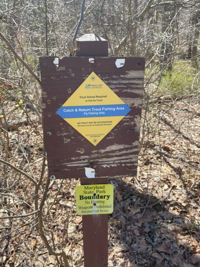 A weathered wooden sign in a forest at Cunningham Falls State Park reads: Catch & Return Trout Fishing Area – Fly Fishing Only. It lists trout stamp requirements, while a yellow sign marks the park boundary and prohibits hunting and weapons.