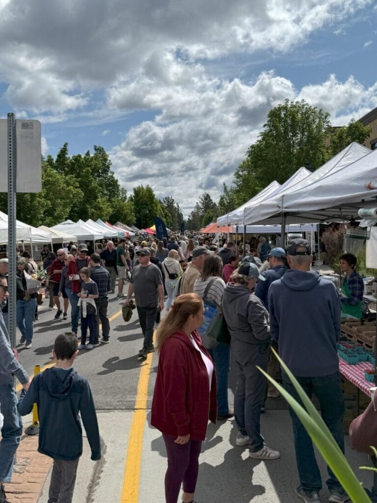 a Crowded Outdoor Farmers Market with People Browsing Stalls Under White Tents on a Tree Lined Street Shoppers of All Ages Walk and Stand in Groups the Sky is Partly Cloudy and the Market is Busy with Activity on a Sunny Day