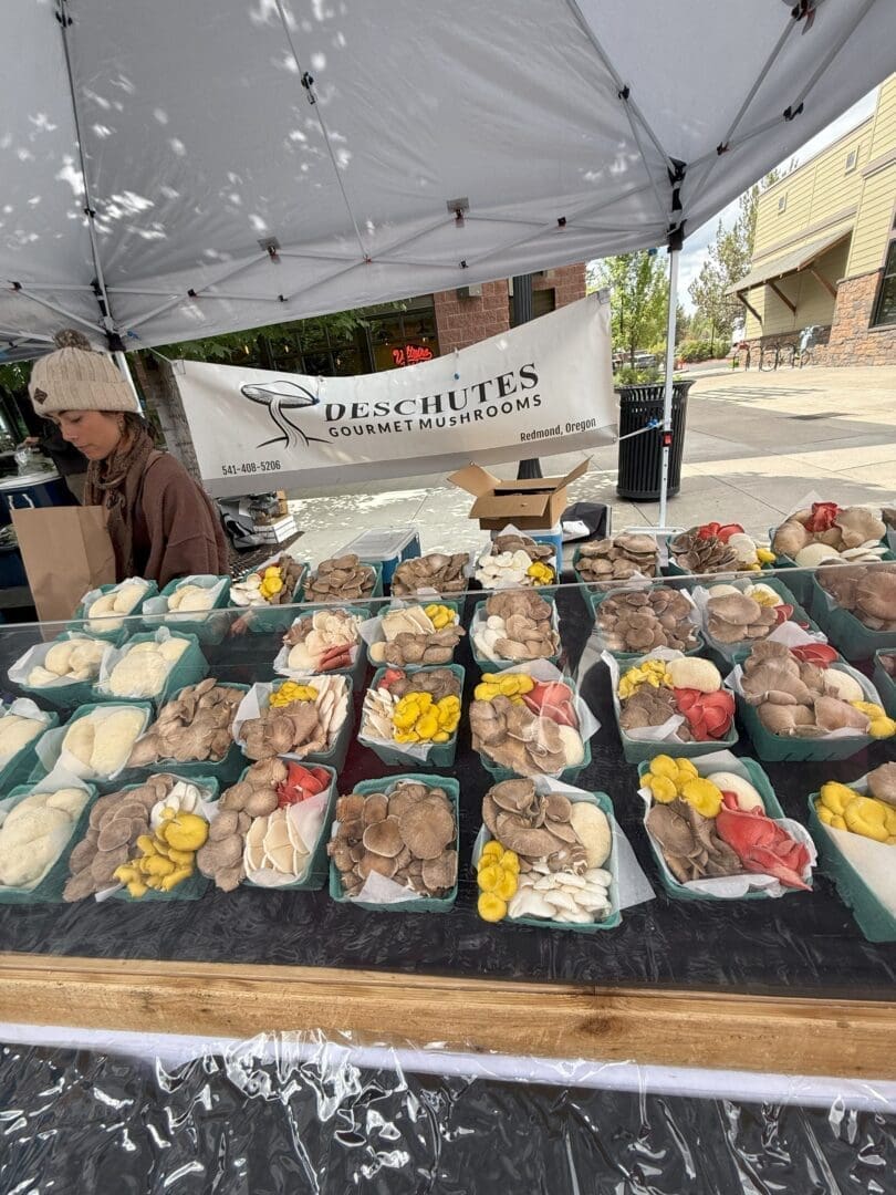 at the Northwest Crossing Farmers Market in Bend a Market Stall Under a Canopy Displays Baskets of Assorted Mushrooms in Vibrant Hues a Person in a Winter Hat Stands Behind the Table with a Banner for Deschutes Gourmet Mushrooms Redmond Oregon