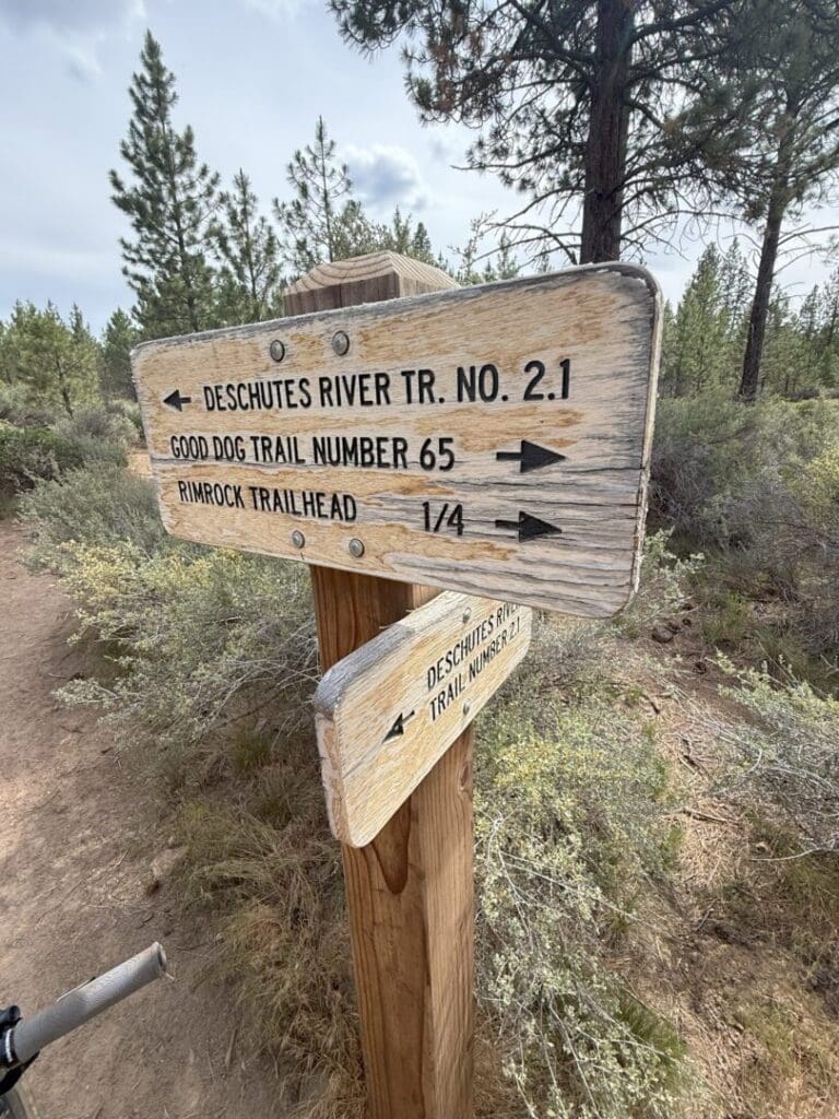 a Wooden Trail Sign in a Forest Points Left to Deschutes River Trail No 21 and Right to Rimrock Trail and Good Dog Trail Number 65 Pine Trees and Shrubs Line the Dirt Path Beneath a Cloudy Sky
