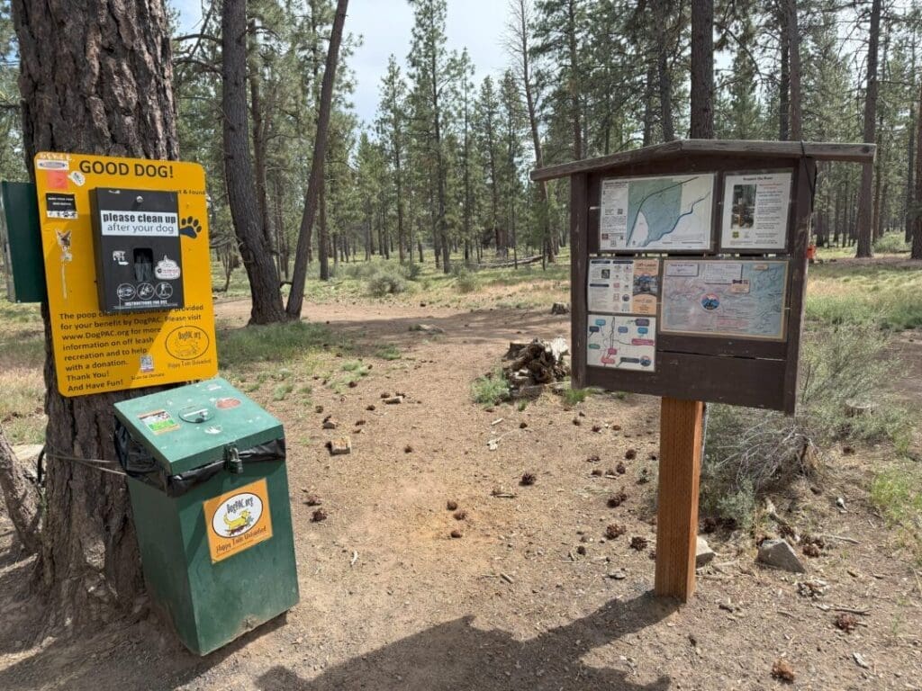 at the Rimrock Trail Trailhead a Wooden Information Kiosk Displays Maps and Notices to the Left a Yellow Good Dog Station Offers Waste Bags and a Green Bin Pine Trees Frame the Dirt Path Beneath a Bright Sky