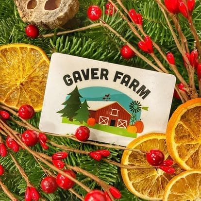 a Gaver Farm Card with a Red Barn and Trees Illustration Rests on Green Pine Needles Surrounded by Dried Orange Slices Red Berries and a Seed Pod Creating a Festive Rustic Gaver Farm Holiday Arrangement