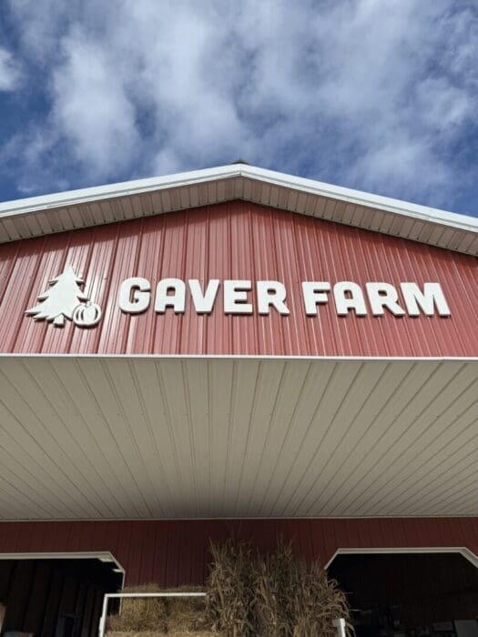 a Red Barn with a White Roof is Seen from Below at Gaver Farm gaver Farm is Written in Large White Letters on the Front Near a Pine Tree Logo the Sky is Partly Cloudy and Corn Stalks and Hay Bales Are Stacked at the Entrance
