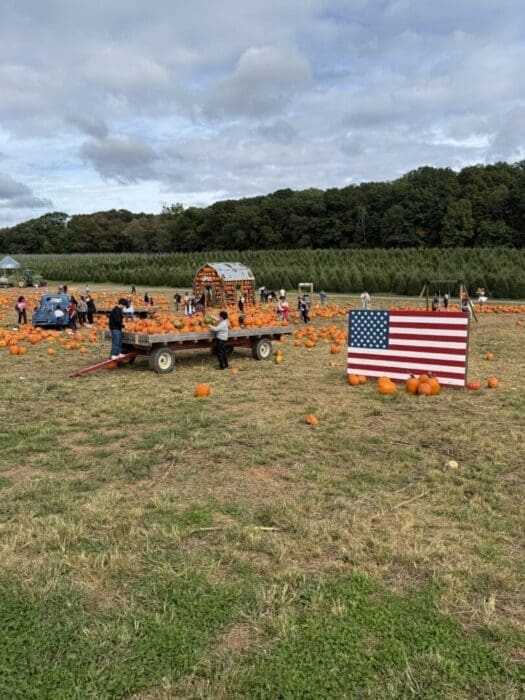 a Pumpkin Patch Scene at Gaver Farm with People Picking Pumpkins an American Flag Display Stands Near Scattered Pumpkins in the Foreground a Wagon is Loaded with Pumpkins and a Wooden Archway Trees and a Cloudy Sky Complete the Scene