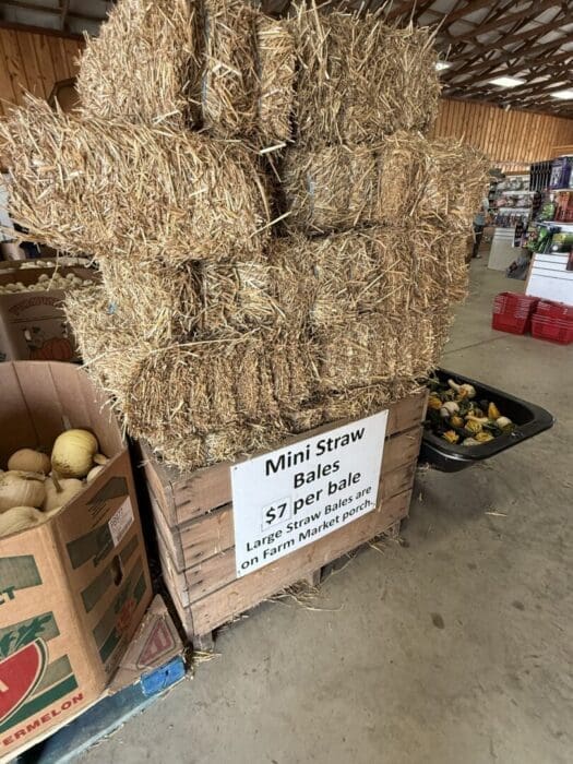 a Stack of Small Straw Bales Sits on a Wooden Crate at Gaver Farm with a Sign Reading mini Straw Bales $7 Per Bale Large Straw Bales Are on Farm Market Porch Nearby Are Boxes of Produce and a Bin of Gourds in the Spacious Market