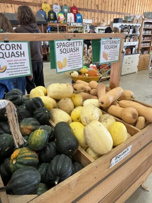at Gaver Farm Wooden Bins Display Three Types of Squashacorn dark Green Spaghetti yellow and Butternut tan Signs Label Each Squash While Shelves with Goods and People Browsing Fill the Background