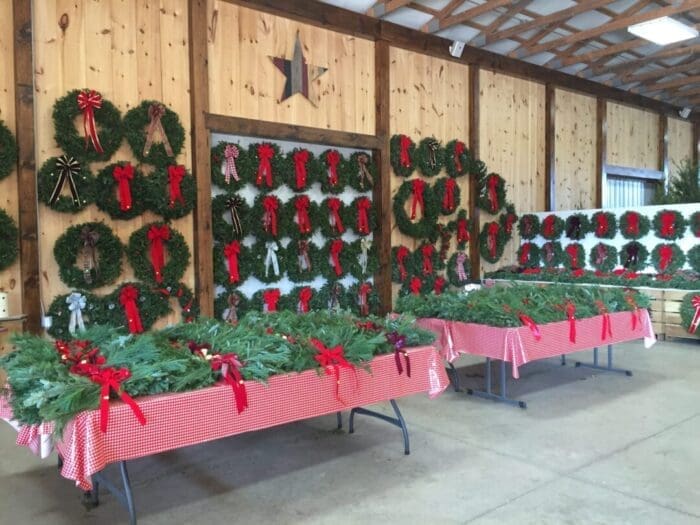 a Wooden Barn Interior at Gaver Farm Displays Many Green Wreaths with Red Bows on the Walls Red checkered Tables Hold Fresh Evergreen Branches Creating a Festive Holiday Atmosphere Beneath Exposed Beams and a Rustic Metal Star