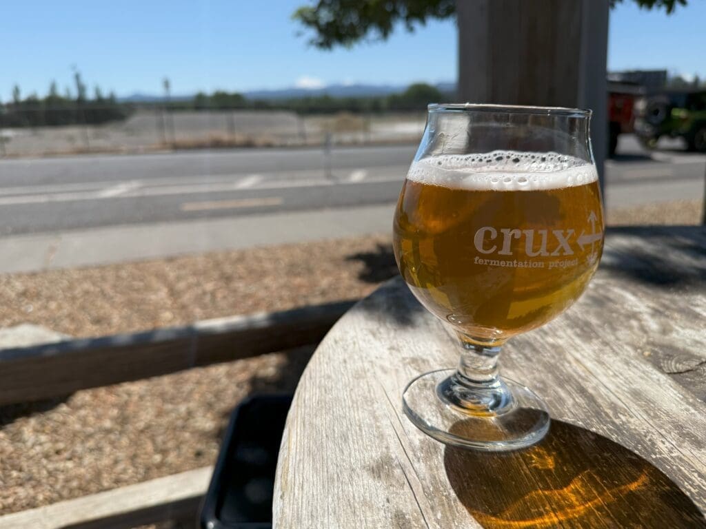 a Tulip Glass of Golden Beer with a Foamy Head from Crux Fermentation Project Sits on a Sunlit Wooden Table Outdoors Behind a Road Fence Trees and Distant Mountains Stretch Beneath the Clear Blue Sky