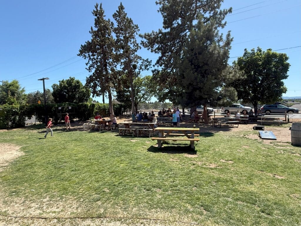 a Grassy Park Area with Picnic Tables Trees Providing Shade and Groups of People Sitting or Walking Children Play on the Lawn While Visitors Enjoy Drinks from Crux Fermentation Project a Few Parked Cars Line the Road Under a Clear Blue Sky
