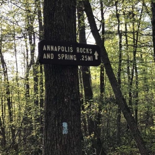 A wooden sign nailed to a tree in a forest reads “Annapolis Rocks and Spring .25 mi” with an arrow pointing forward, hinting at one of the best hikes around Frederick MD. Sunlight filters through dense green foliage in the background.
