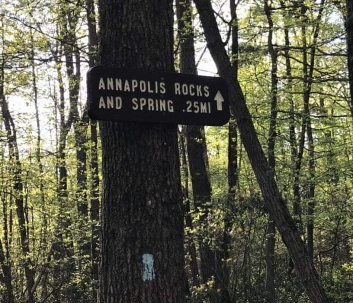 A wooden sign nailed to a tree in a forest reads “Annapolis Rocks and Spring .25 mi” with an arrow pointing forward, hinting at one of the best hikes around Frederick MD. Sunlight filters through dense green foliage in the background.