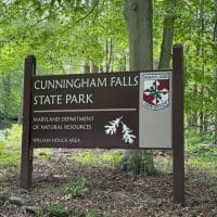 A wooden sign for Cunningham Falls State Park stands in a forested area near Mt Airy, MD. The sign features the Maryland Park Service logo, white oak leaves, and text for the Maryland Department of Natural Resources, William Houck Area. Lush green trees surround it.