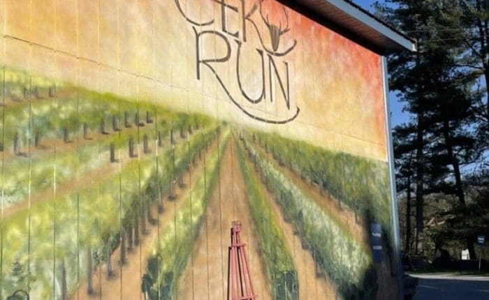A mural on a building in Mt Airy MD shows rows of grapevines stretching into the distance below a warm, orange sky. "Elk Run" is painted at the top with an elk antler motif. A red metal ladder leans against the wall; trees and blue sky behind.