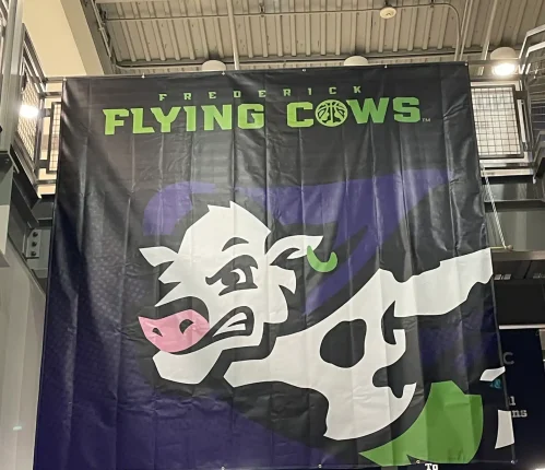 Flying-Cows-Professional-Basketball-scaled
