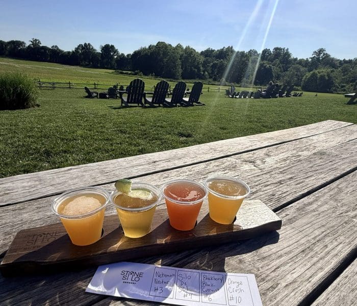 Outdoor beer flight on a weathered wooden table in a sunny park, with green lawn and Adirondack chairs in the background under a blue sky.
