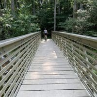 Little Bennett Regional Park Bike Trails