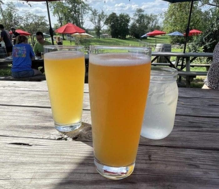 Two tall glasses of hazy, yellow beer sit on a weathered wooden picnic table outdoors in Mt Airy MD, next to a small glass jar of water. In the background, people relax under red and blue umbrellas with green trees and a partly cloudy sky.